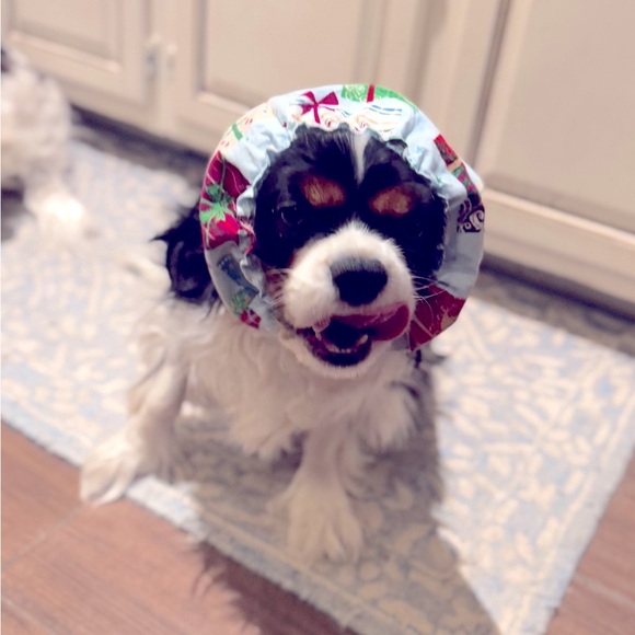 SNOOD Long Eared Dog Hat for Mealtime & Feeding - Picture 17 of 17